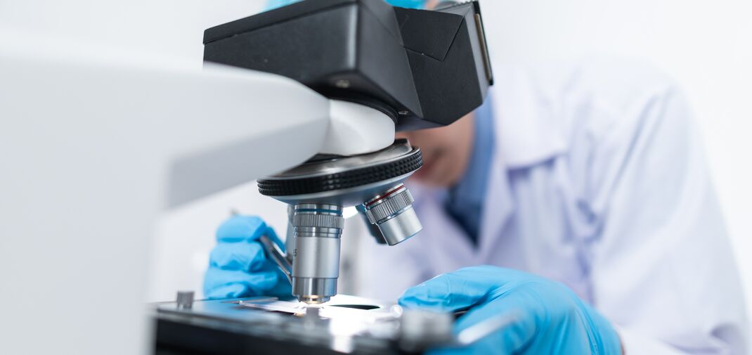 Nieuwsbericht 1 met een langere titel die waarschijnlijk niet op 1 lijn past